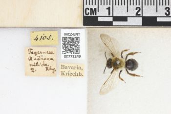 Media type: image;   Entomology 771249 Aspect: Labels